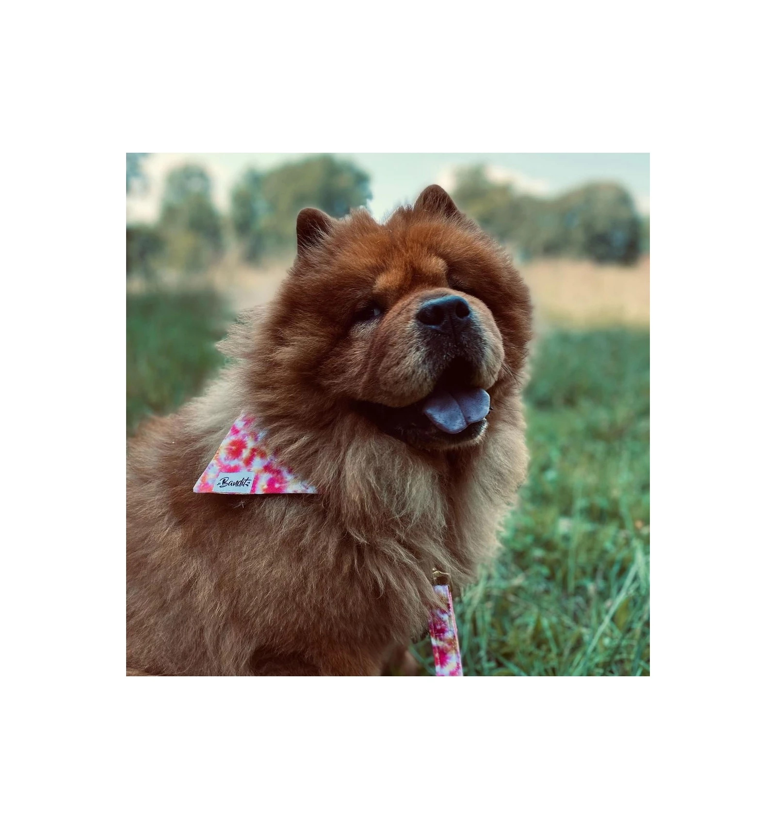 French Bandit Bandana BANDIKINI – Image 2