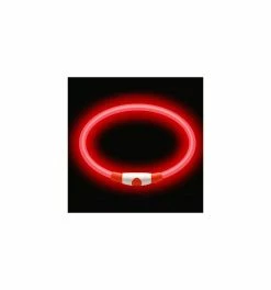 Collier Lumineux Chien - Rechargeable