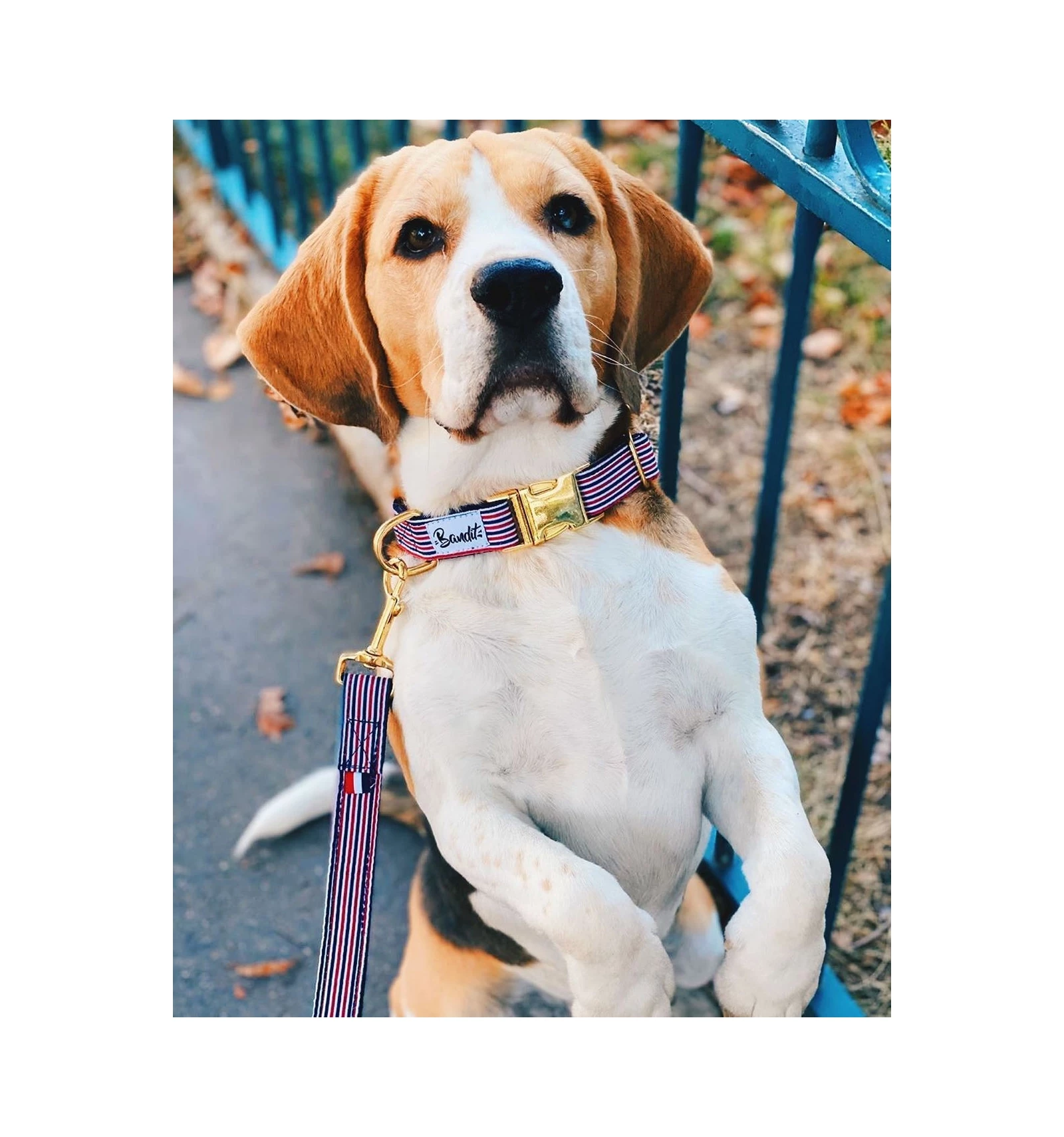 French Bandit Collier THE FRENCH BANBAN – Image 2