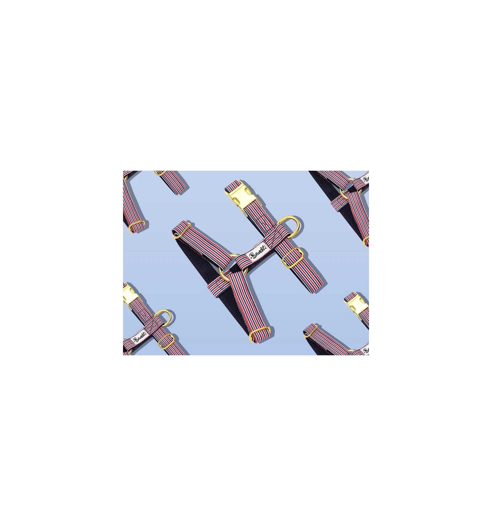 French Bandit Harnais THE FRENCH BANBAN