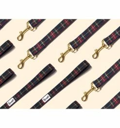 French Bandit Laisse OH MY LORD