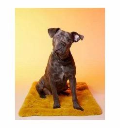 Le Tapis Rouge Le Tapis New York